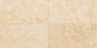 Stone Source Crema Marfil Elegance 12×24 Field Tile Honed