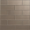 Astoria Southside 3×9 Field Tile Silk
