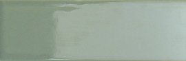 Bits Kale 2×5 Field Tile Gloss