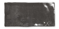 Fez Graphite 2×5 Field Tile Glossy