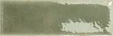 Skin Moss 2×5 Field Tile Glossy