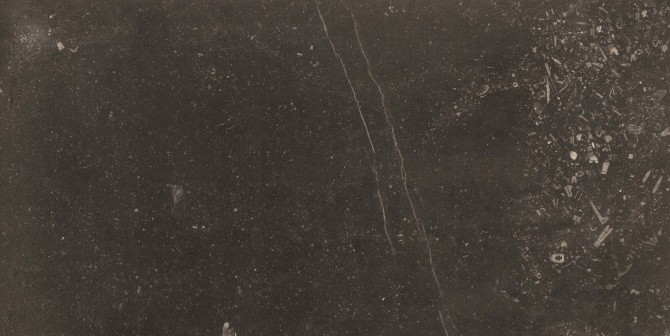 Belgica 24×48 Field Tile Matte Rectified