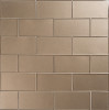 Astoria Southside 3×6 Field Tile Glossy