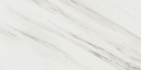 Majesto Calacatta Cremo 12×24 Field Tile Polished Rectified