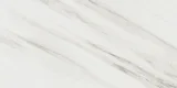 Majesto Calacatta Cremo 12×24 Field Tile Honed Rectified