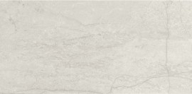 Stone Theory Notion 12×24 Field Tile Matte