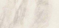 Catalina White 24×48 Field Tile Polished Rectified