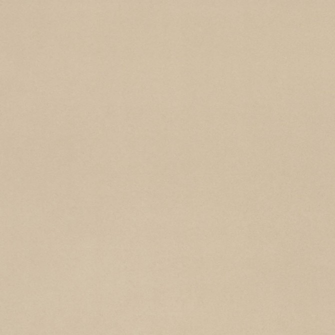 Neoconcrete Beige 24×24 Field Tile Matte Rectified