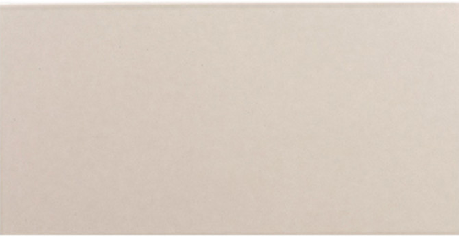 Stellar Quickship Pumice 6X12 FIELD TILE