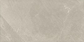 Merit Light Gray 12×24 Field Tile Matte
