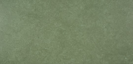 Argent 2.5 Hollywood & Vine 12×24 Field Tile