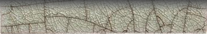 Color Variation Image