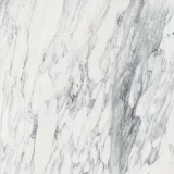Majesto Calacatta Corchia 36×36 Field Tile Honed Rectified