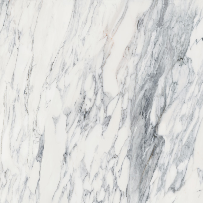 Majesto Calacatta Corchia 36×36 Field Tile Polished Rectified