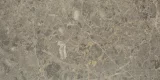 Velutto Ash 12×24 Honed