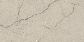 Roxy Beige 12×24 Field Tile Leather