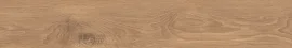 Cocoon Joy 8×48 Field Tile Matte Rectified
