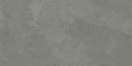 Albany Fossil 24×47 Field Tile Rectified