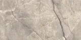Anima Futura Amazing Silver 24×48 Field Tile Polished Rectified Anima Futura Amazing Silver 24×48 Field Tile Polished Rectified