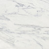 Majesto Calacatta Corchia 24×24 Field Tile Polished Rectified