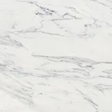 Majesto Calacatta Corchia 24×24 Field Tile Honed Rectified