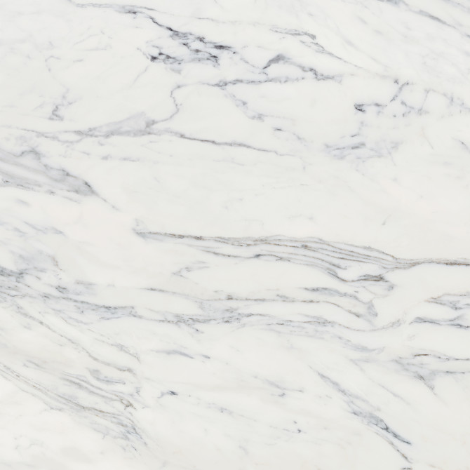 Majesto Calacatta Corchia 24×24 Field Tile Polished Rectified