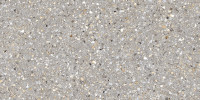 Phantom Gray 12×24 Field Tile Semi-Polished Rectified