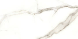 Caspar Calacatta 12×24 Field Tile Matte Rectified