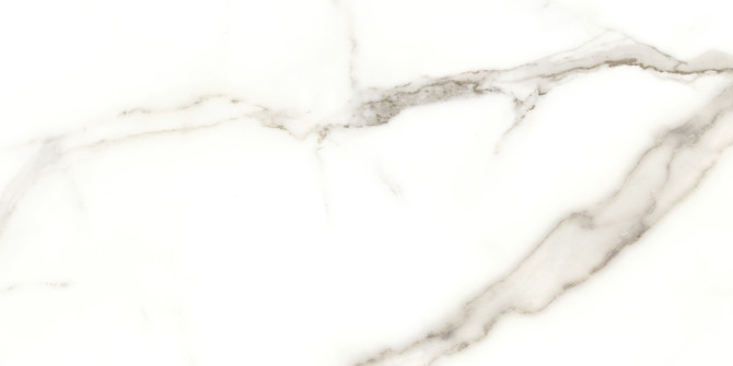 Caspar Calacatta 12×24 Field Tile Polished Rectified