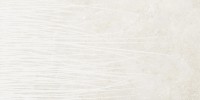 Untamed Flourish 24×48 Field Tile Matte Rectified