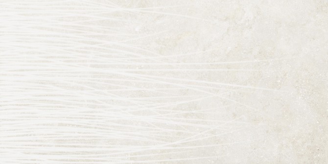 Untamed Flourish 24×48 Field Tile Matte Rectified