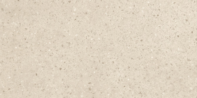 Civic Sable 24X48 Chips Field Tile Matte Rectified