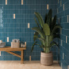 Casablanca Azure 2x6 and 2x6 O, and Adobe 2x6