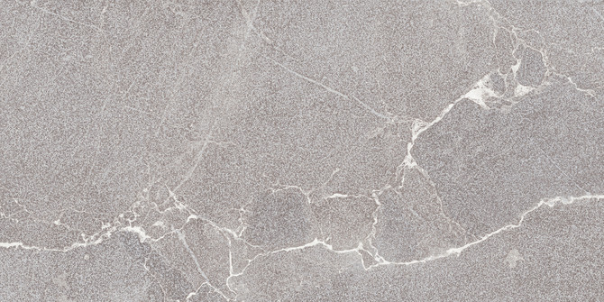 Roxy Light Gray 12×24 Field Tile Leather