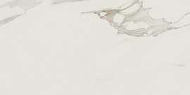 Anima Calacatta Oro 24×47 Field Tile Polished Rectified