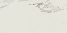 Valentina Calacatta 24×48 Field Tile Polished Rectified