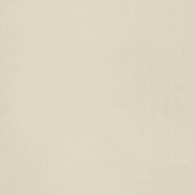 Neoconcrete White 24×24 Field Tile Light Polished Rectified