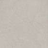 Spectrum Light Grey 24×24 Silk