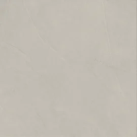 Spectrum Light Grey 24×24 Silk