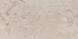 Rochester Beige 12×24 Field Tile Matte