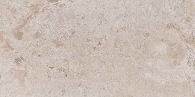 Rochester Beige 12×24 Field Tile Matte
