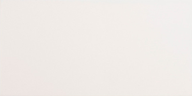 Stellar Quickship Goose Down 6X12 FIELD TILE
