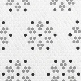 Nano Monochrome 10×14 Snowflake Mosaic Nano Monochrome 10×14 Snowflake Mosaic