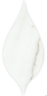 Acurve Calacatta Gold Honed 3×8 Delicato Acanthus