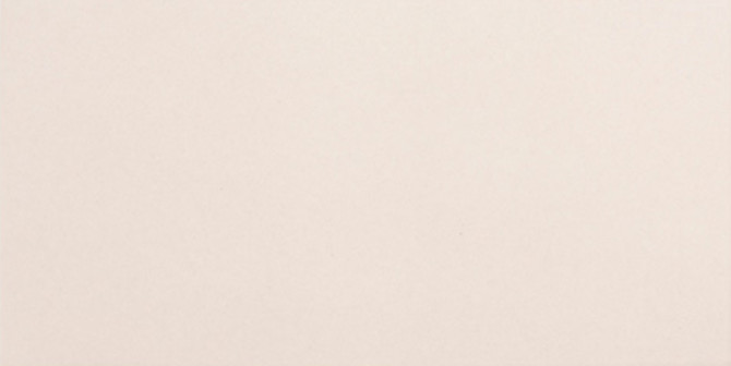 Stellar Quickship Bossy Gray 6X12 FIELD TILE