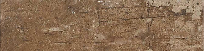 Brickell Rust 2×8 Field Tile Matte