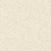 Alaska Bone 24×24 Field Tile Matte Rectified
