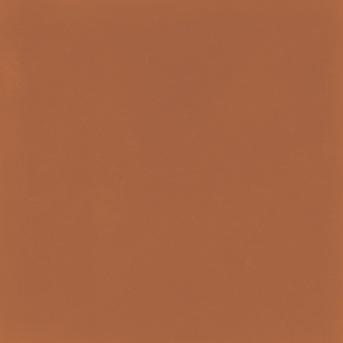 D_Segni Color Tangerine 8×8 Field Tile Matte
