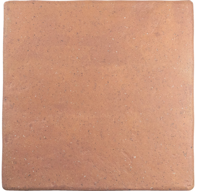 Roots Cotto 9×9 Field Tile Matte