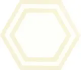 Floor Collection Bone 8×9 Hexagon Deco Field Tile Semi-Matte